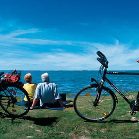 Sahneschnittchen Hage