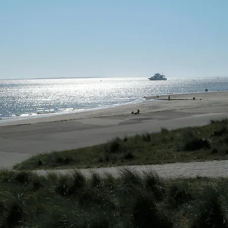 Lejlighed Sahneschnittchen Hage