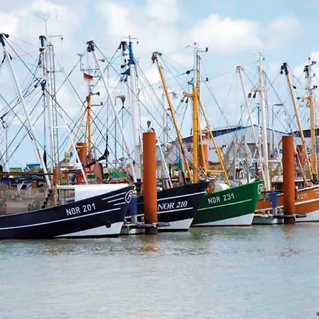 Sahneschnittchen Lejlighed