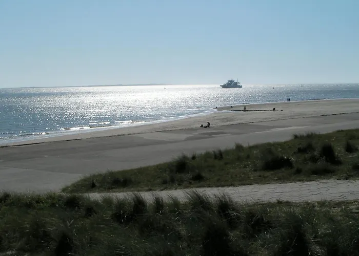 Lejlighed Sahneschnittchen